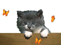 my name